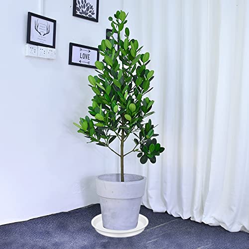 Bleuhome plant saucer interior diameter 12.2 inches supports pots and prevents leaks