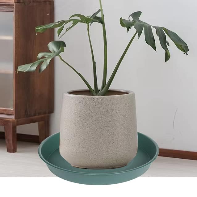 Bleuhome matte green finish ideal for indoor planters