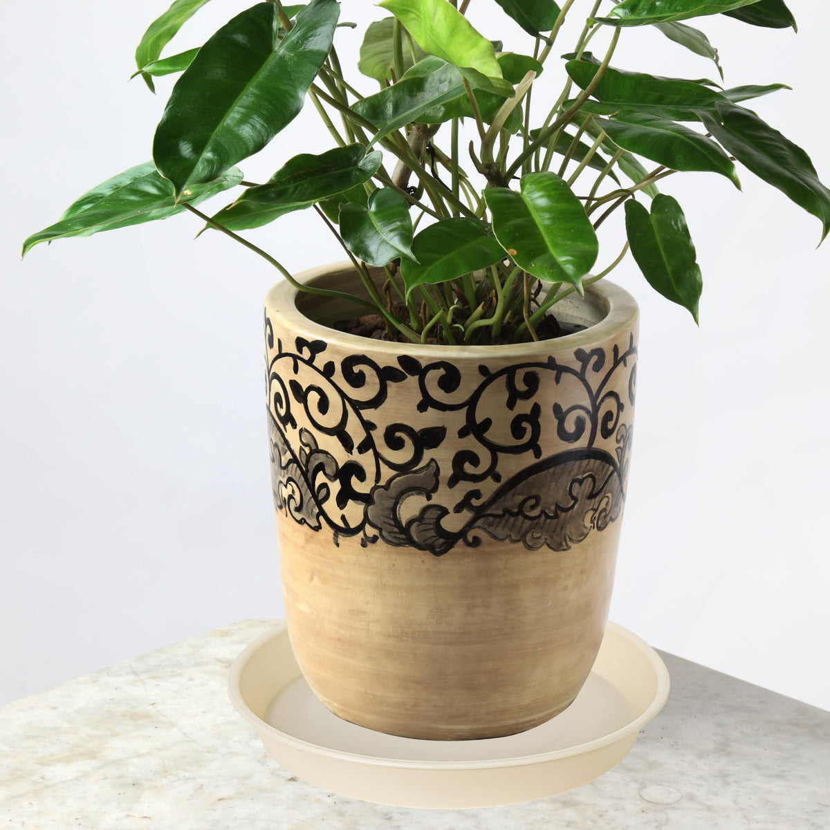 Bleuhome beige saucer catches pot overflow to protect furniture