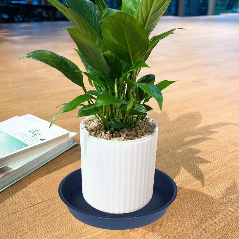 Versatile blue plant saucers ideal for indoor planters or outdoor container gardens.