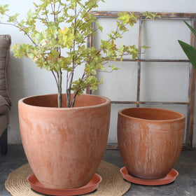 Bleuhome terracotta-toned plant saucer complements planters and prevents leaks.