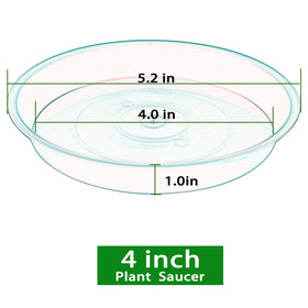 Bleuhome thickened PP plant saucer delivers durable performance indoors or outdoors.