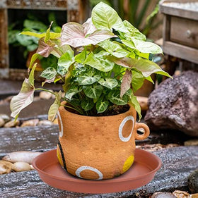 Bleuhome 12-inch tray provides water catchment for pots on patios.