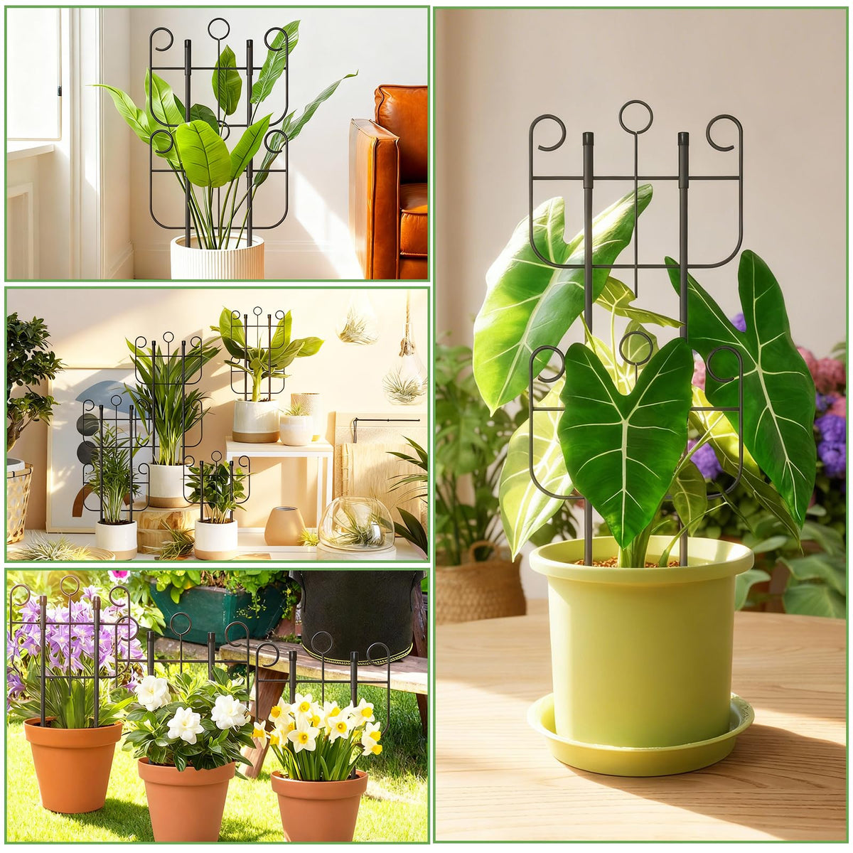 Blingluck expandable trellis demonstrates adjustable height for growing plants