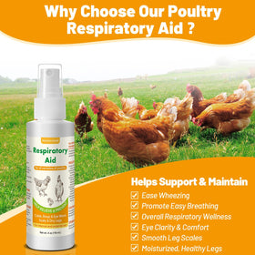 BlissfulAbode Respiratory Aid dropper application for stress-free dosing in the coop.