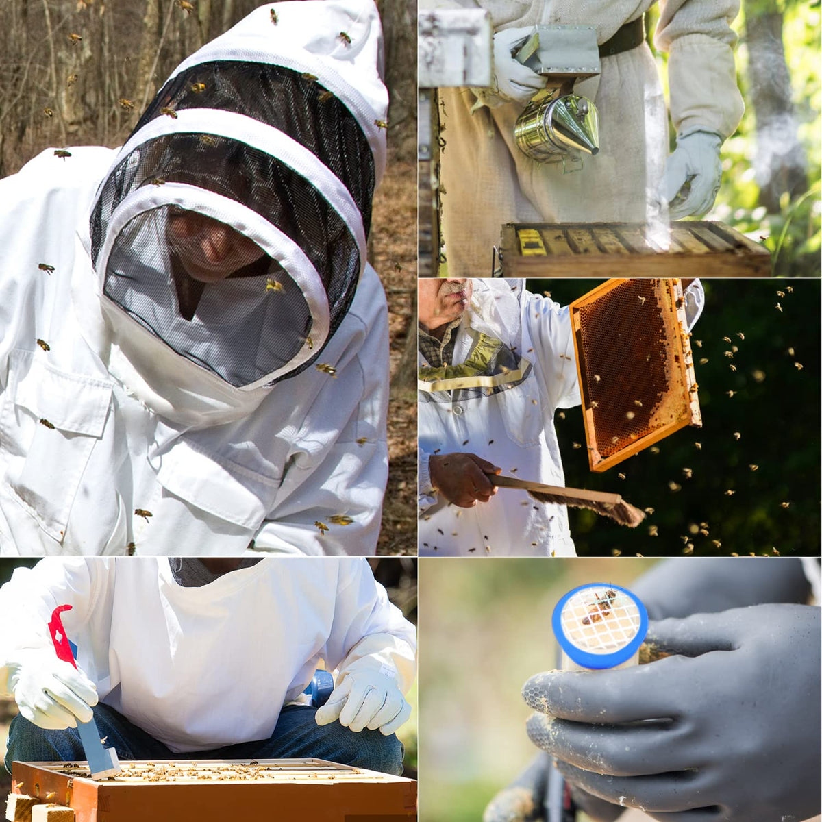 Blisstime honey harvesting and hive inspection tools in use for new beekeepers