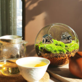 BLLREMIPSUR bonsai pot accents pair with gnomes and stones for whimsy