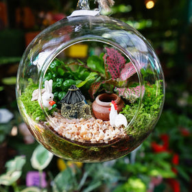 BLLREMIPSUR succulent terrarium decor with cottage-style huts for cozy scenes