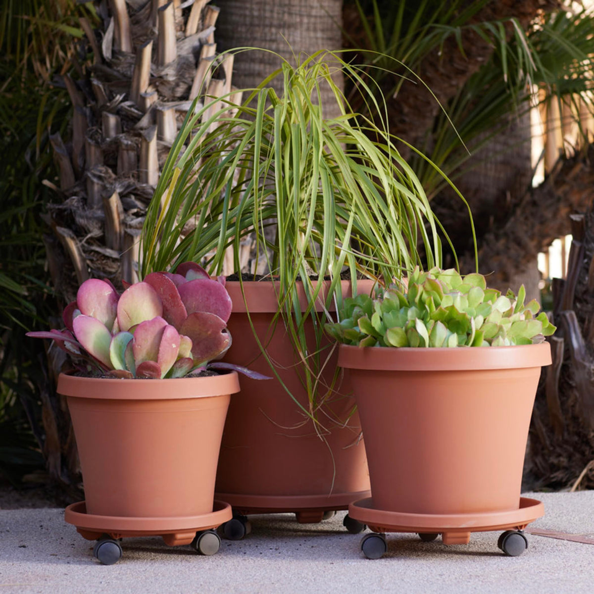 Bloem all-weather UV-resistant polypropylene construction for durability.