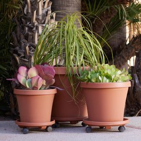 Bloem all-weather UV-resistant polypropylene construction for durability.