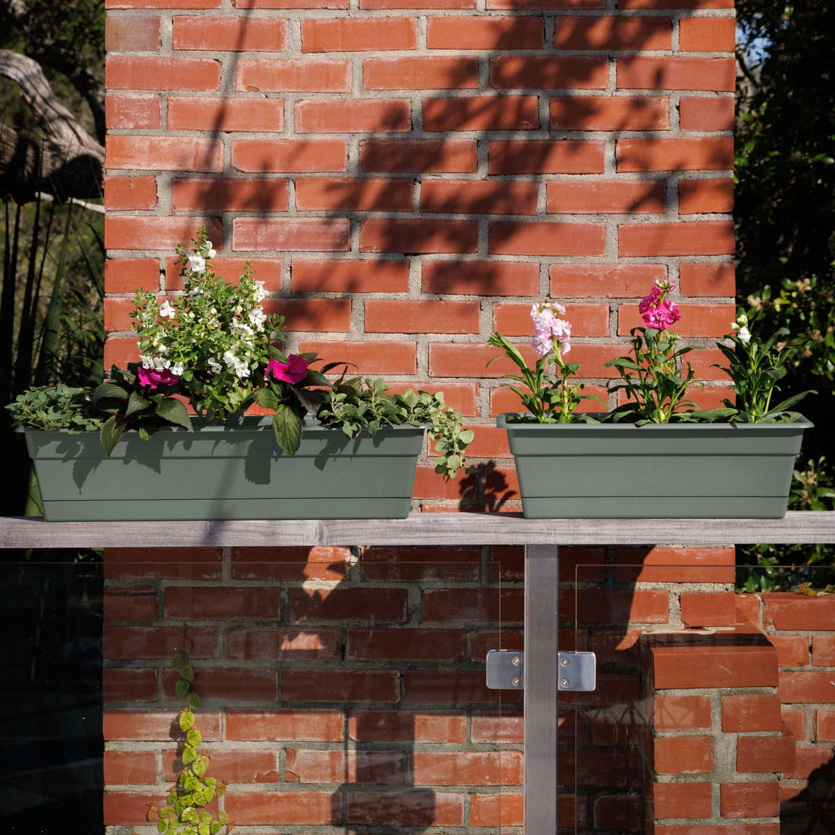 Bloem Dura Cotta 18-inch basil window box close-up with drainage holes for proper water management.