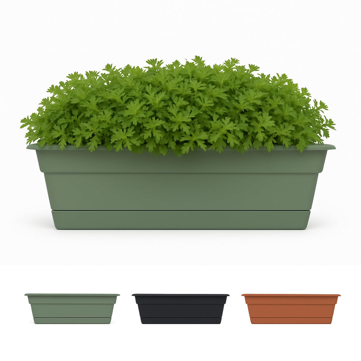 Bloem Dura Cotta 18-inch basil window box front view for easy outdoor planting.
