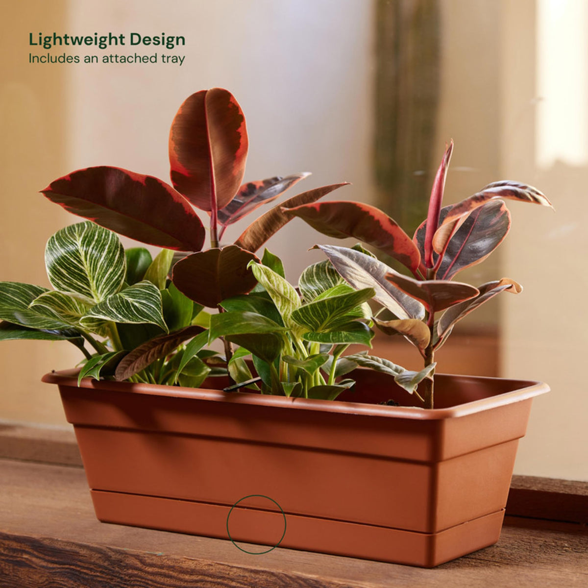 Bloem Dura Cotta rectangle window box with saucer tray for clean indoor or outdoor setup.