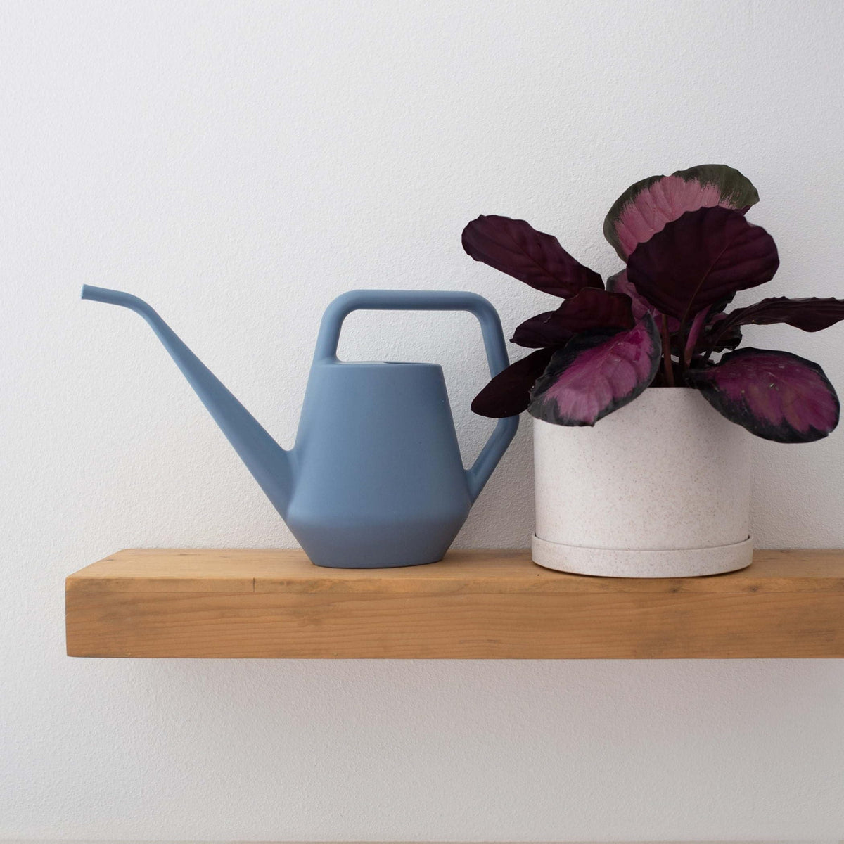 Bloem Mathers 6-Inch planter size supports herbs or small blooms on a desk