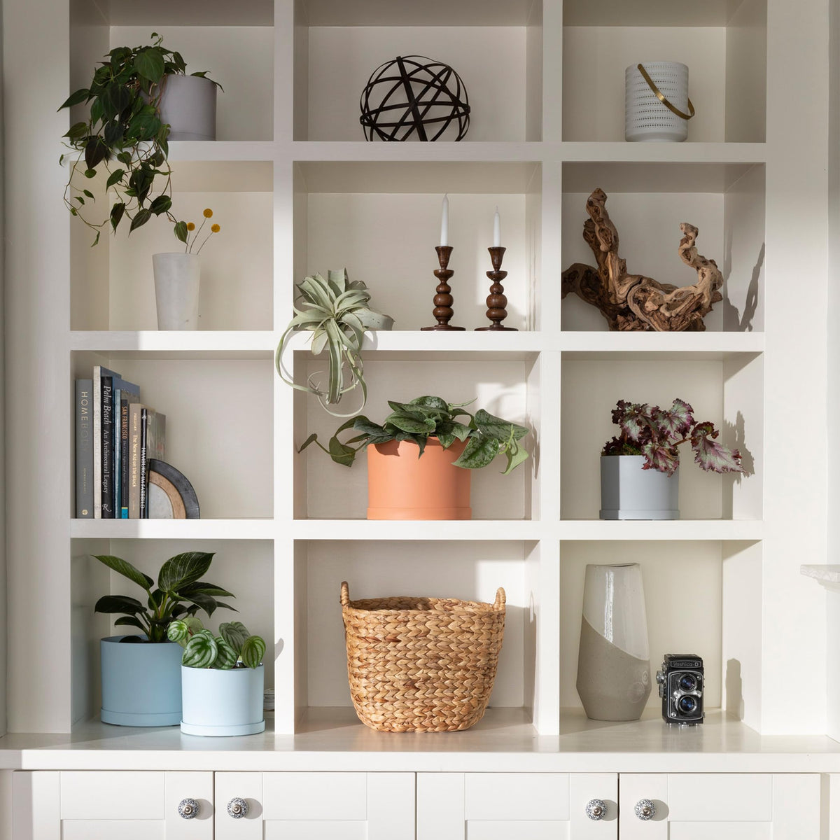 Bloem Mathers 8-inch close-up reveals the matte terra cotta texture and finish.