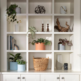 Bloem Mathers 8-inch close-up reveals the matte terra cotta texture and finish.
