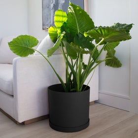 Proudly made in USA Bloem Mathers round planter.