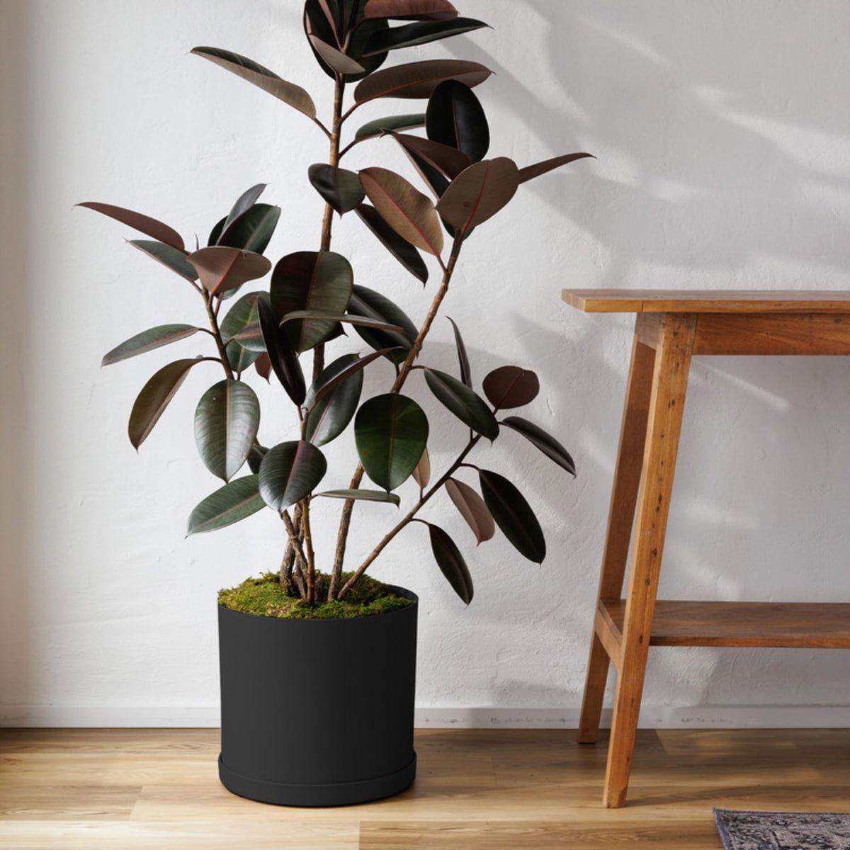 Bloem Mathers planter with saucer tray keeps surfaces dry and clean.