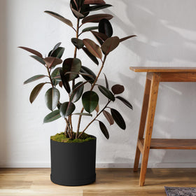 Bloem Mathers planter with saucer tray keeps surfaces dry and clean.