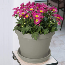 Bloem Terra Saucer ribbed bottom detail promotes air flow around roots