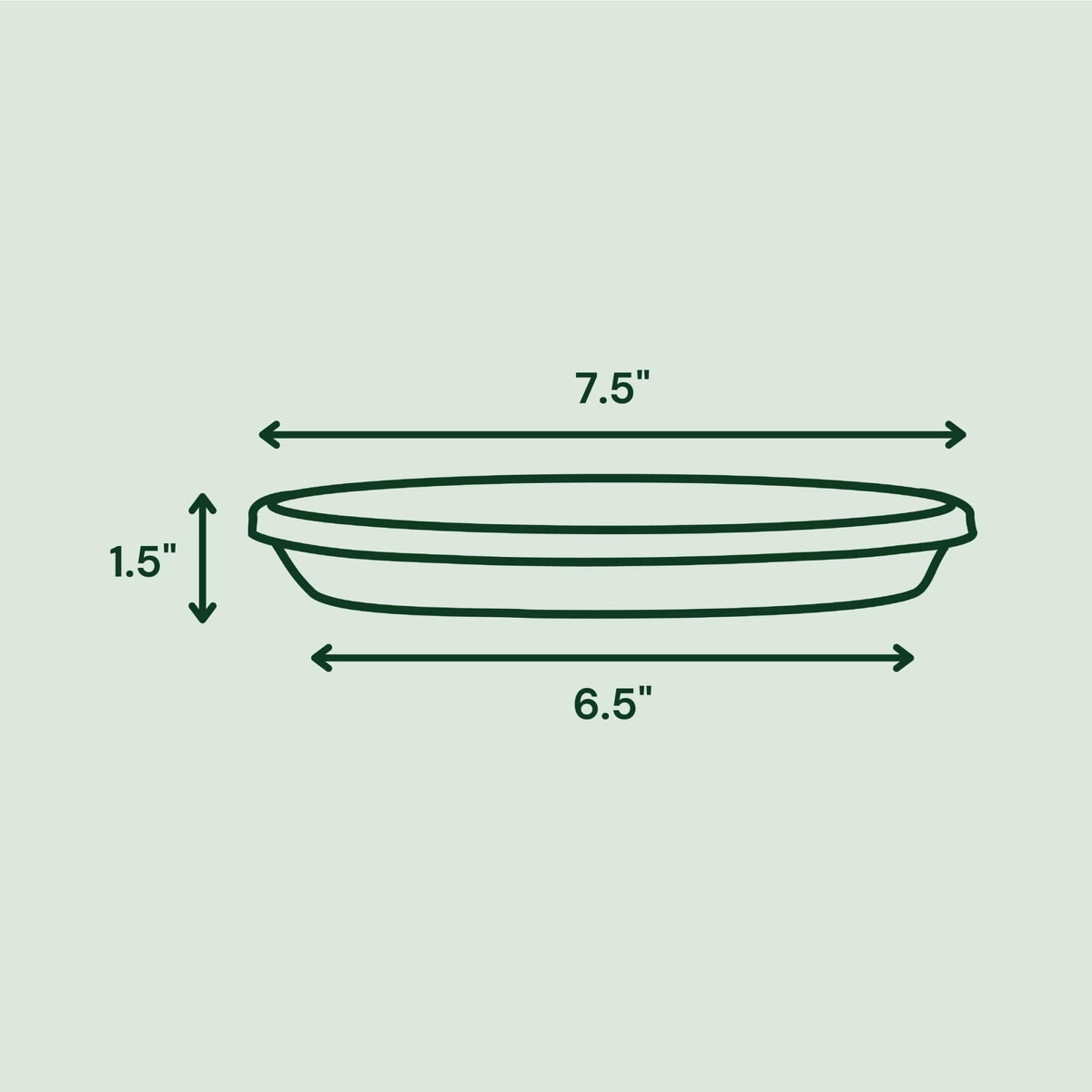 Bloem Terra Saucer top view showing 7.5 in top, 6.5 in bottom dimensions