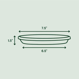 Bloem Terra Saucer top view showing 7.5 in top, 6.5 in bottom dimensions