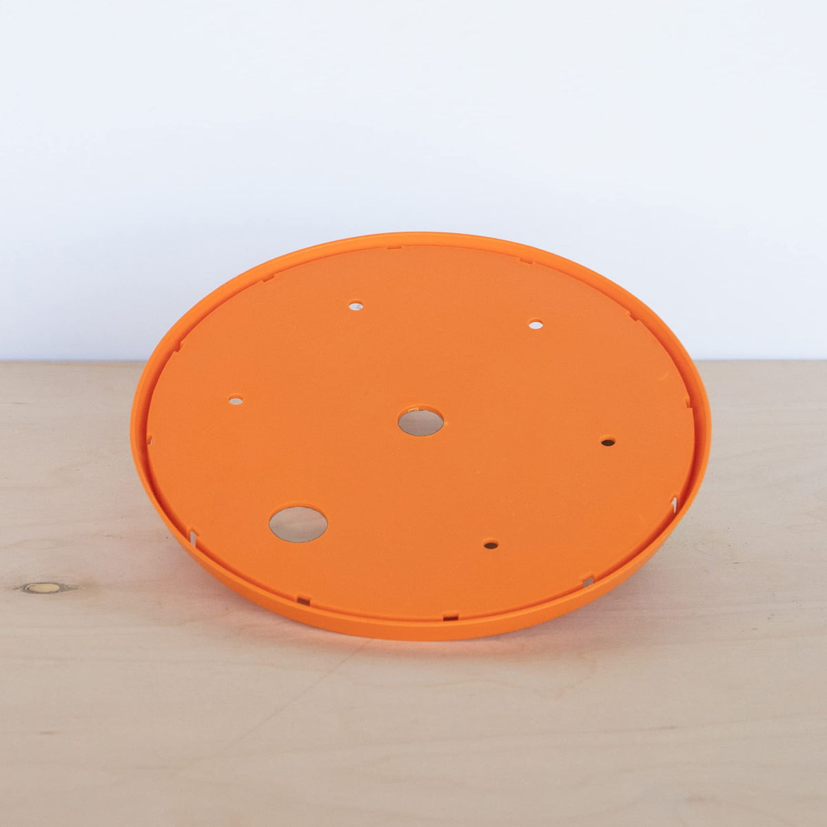 Bloem Ups-A-Daisy round insert elevates soil level to reduce potting needs.