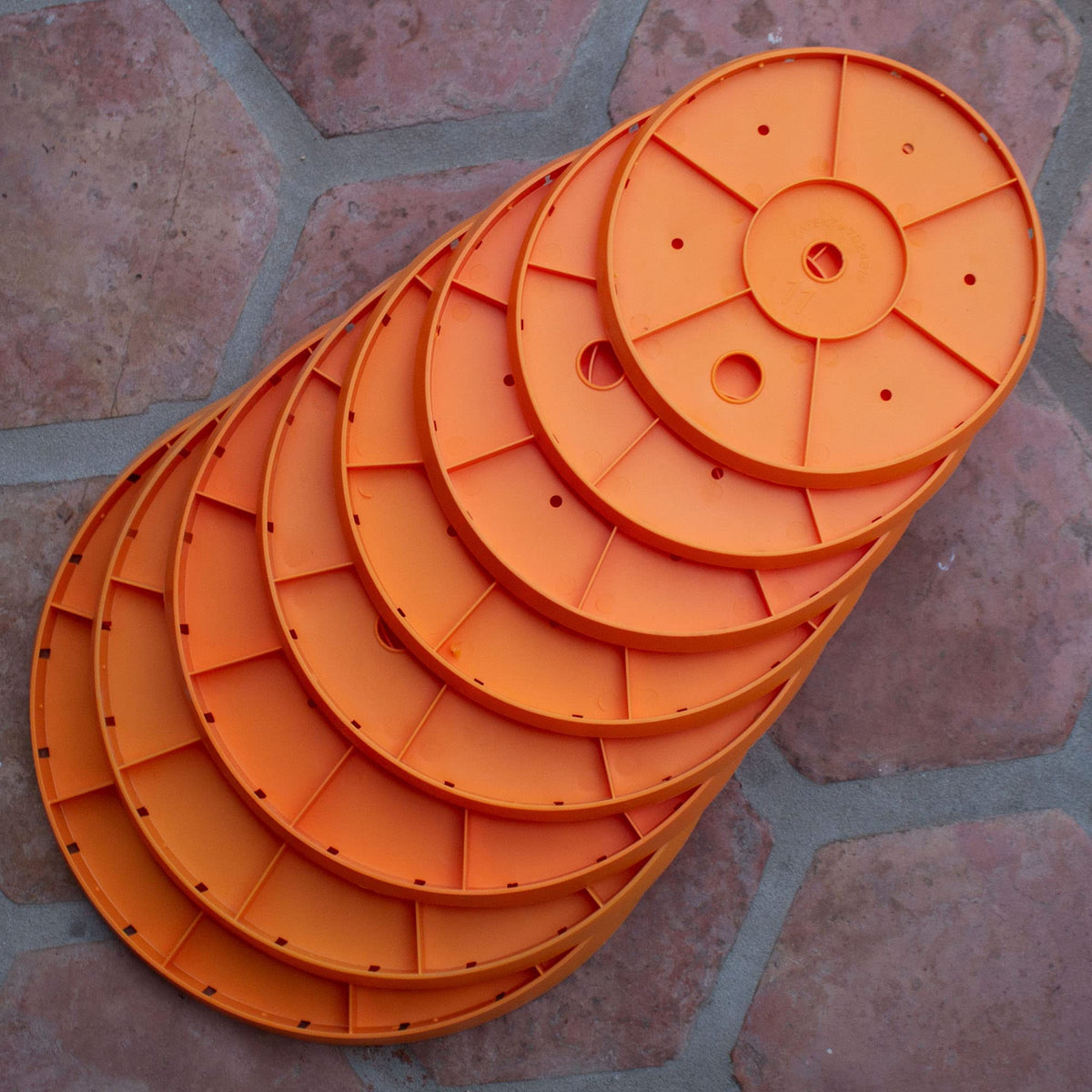 Bloem Ups-A-Daisy insert demonstrates reusable plastic for indoor and outdoor use.
