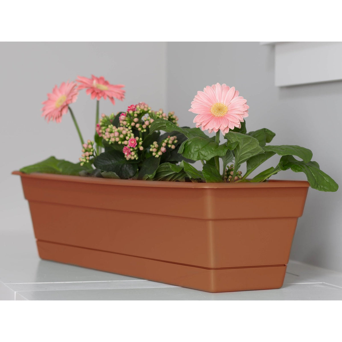 Bloem taracot 24 window box planted setup for vibrant, tidy displays.