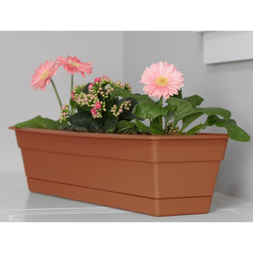 Bloem taracot 24 window box planted setup for vibrant, tidy displays.