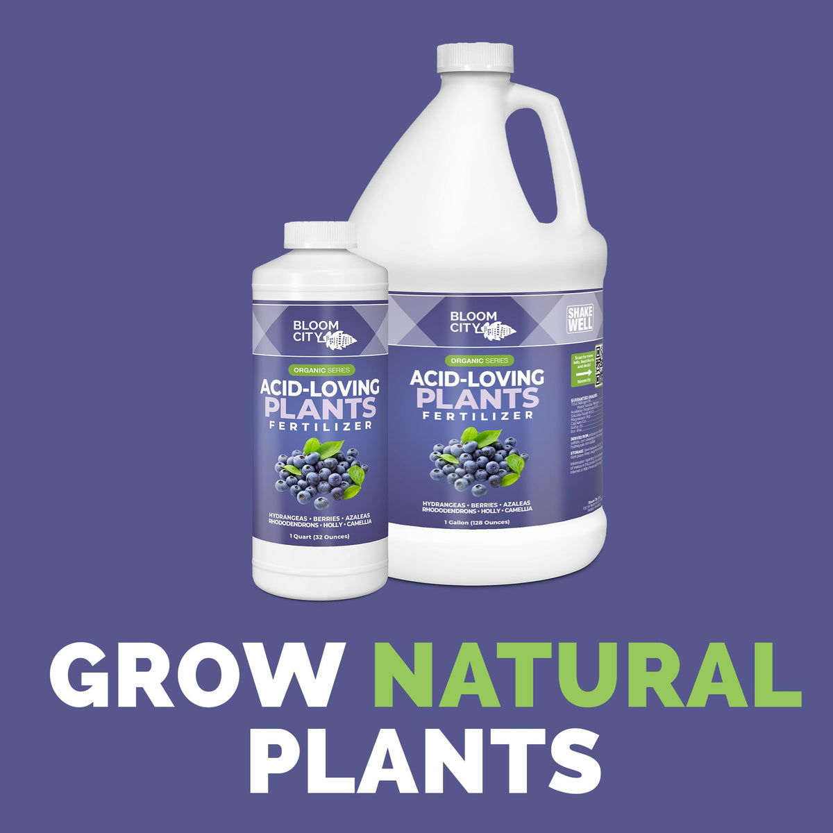 Bloom City acid-loving plant fertilizer bottle pour demonstrates easy application for blueberries.