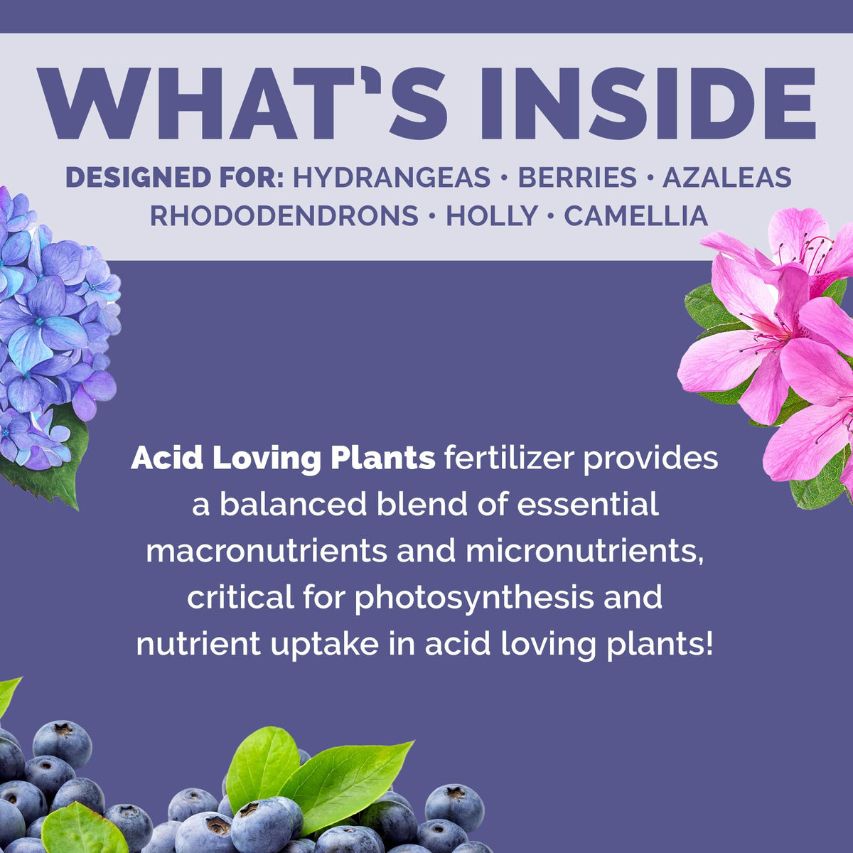 Bloom City acid-loving plant fertilizer label closeup highlights balanced nutrition for hydrangeas.