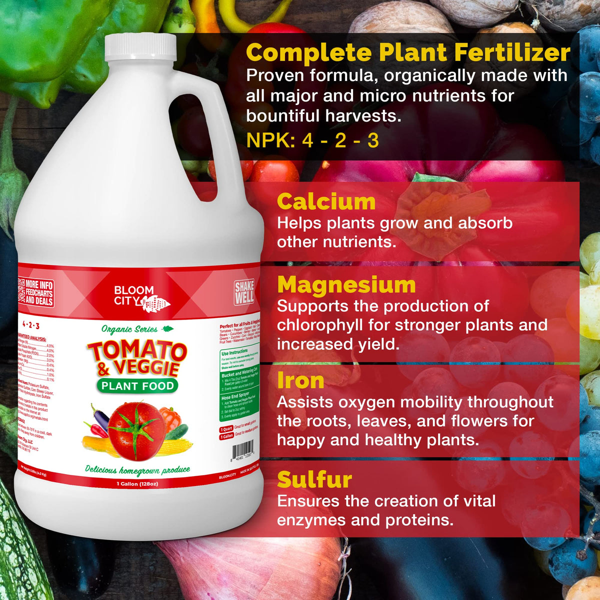 Bloom City container garden vegetables receiving steady, productive nourishment