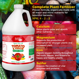 Bloom City container garden vegetables receiving steady, productive nourishment