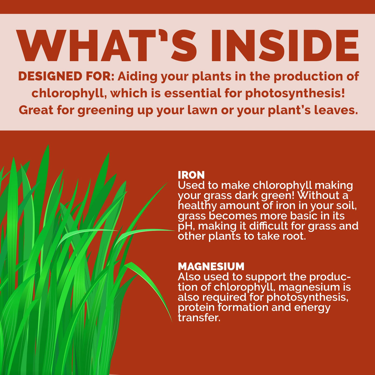 Bloom City chelated liquid iron supports vibrant foliage on ornamentals and vegetables.