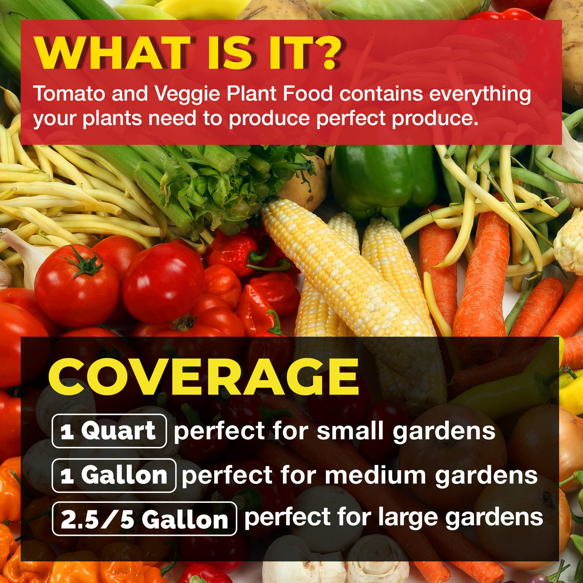 Bloom City healthy tomato plants nourished by balanced nutrition