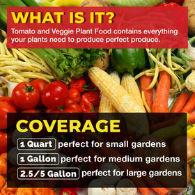Bloom City healthy tomato plants nourished by balanced nutrition