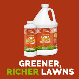 Bloom City chelated liquid iron on a lush lawn creating deeper green color.