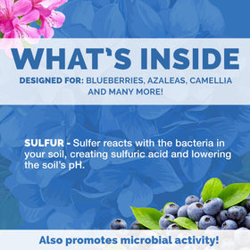 Bloom City Organic Soil Acidifier helps blueberries flourish with targeted acidity.