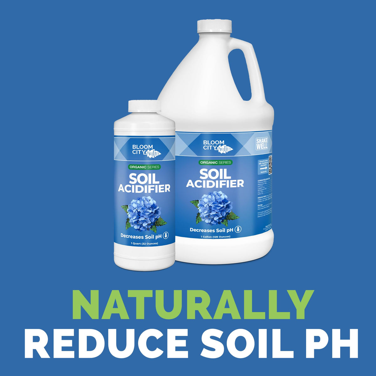 Bloom City Organic Soil Acidifier hydrangea color change enables vibrant blue blooms.
