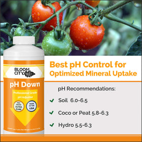 Bloom City pH Down bottle with label ready for garden calibration