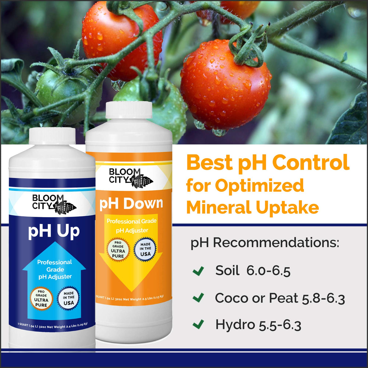 Bloom City ph up bottle pour demonstrates precise pH adjustment during nutrient preparation.
