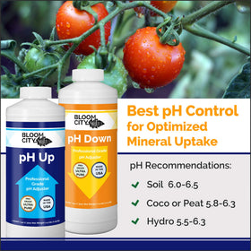 Bloom City ph up bottle pour demonstrates precise pH adjustment during nutrient preparation.