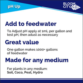 Bloom City pH Up in a hydroponics setup balancing nutrient solution and uptake.