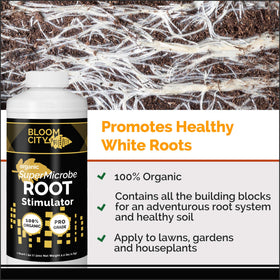 Bloom City SuperMicrobe liquid drench application shown for easy root soaking.