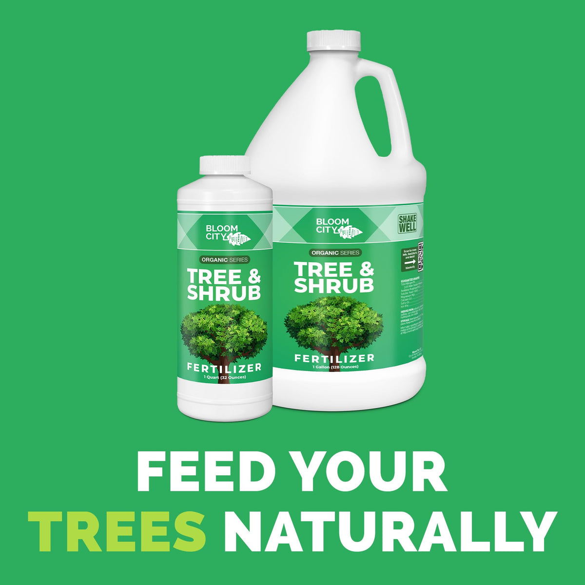 Bloom City Tree & Shrub Fertilizer bottle label highlights balanced nutrients for steady growth.