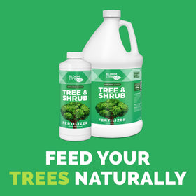 Bloom City Tree & Shrub Fertilizer bottle label highlights balanced nutrients for steady growth.