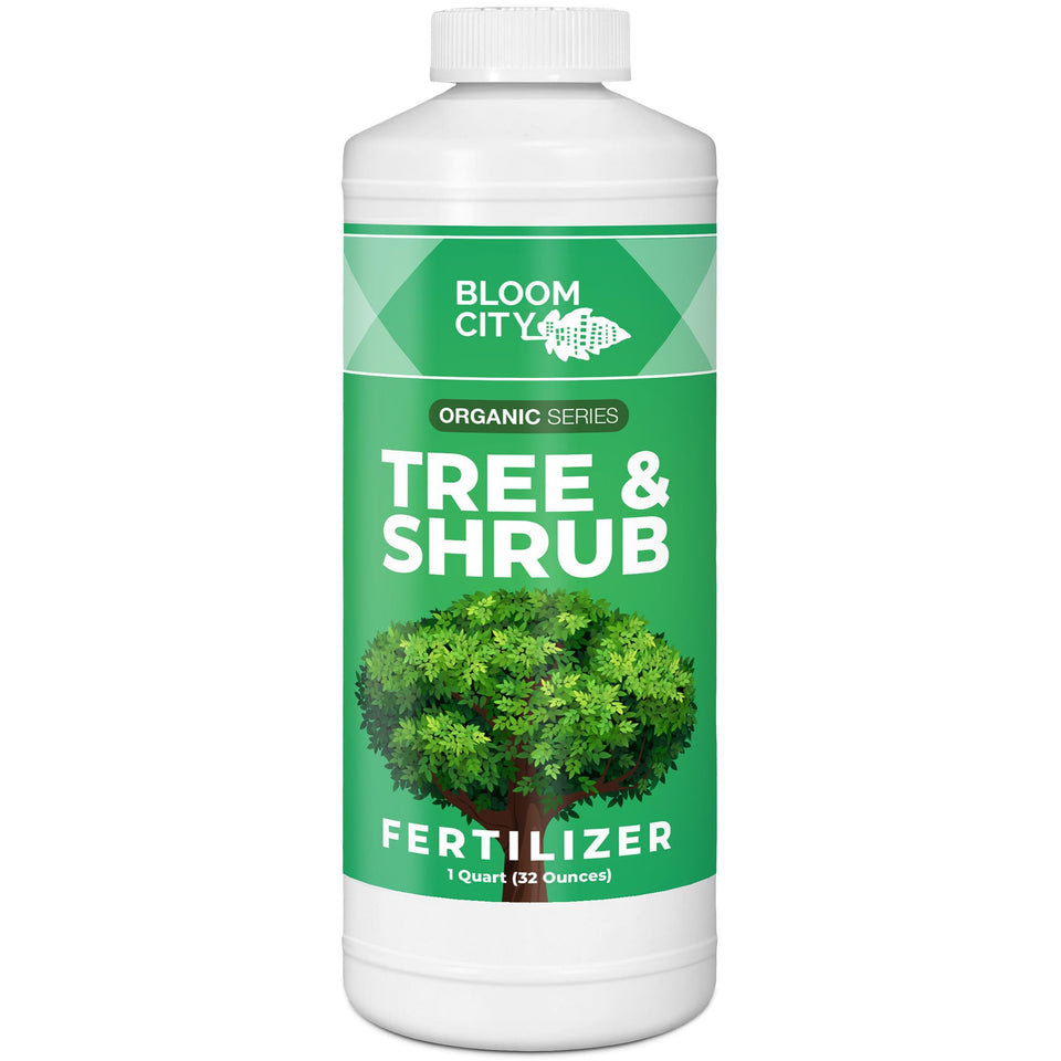 Bloom City Tree & Shrub Fertilizer bottle supports strong roots and lush foliage.