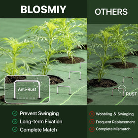 BLOSMIY 11-gauge galvanized stakes provide durable stability in wind and rain.