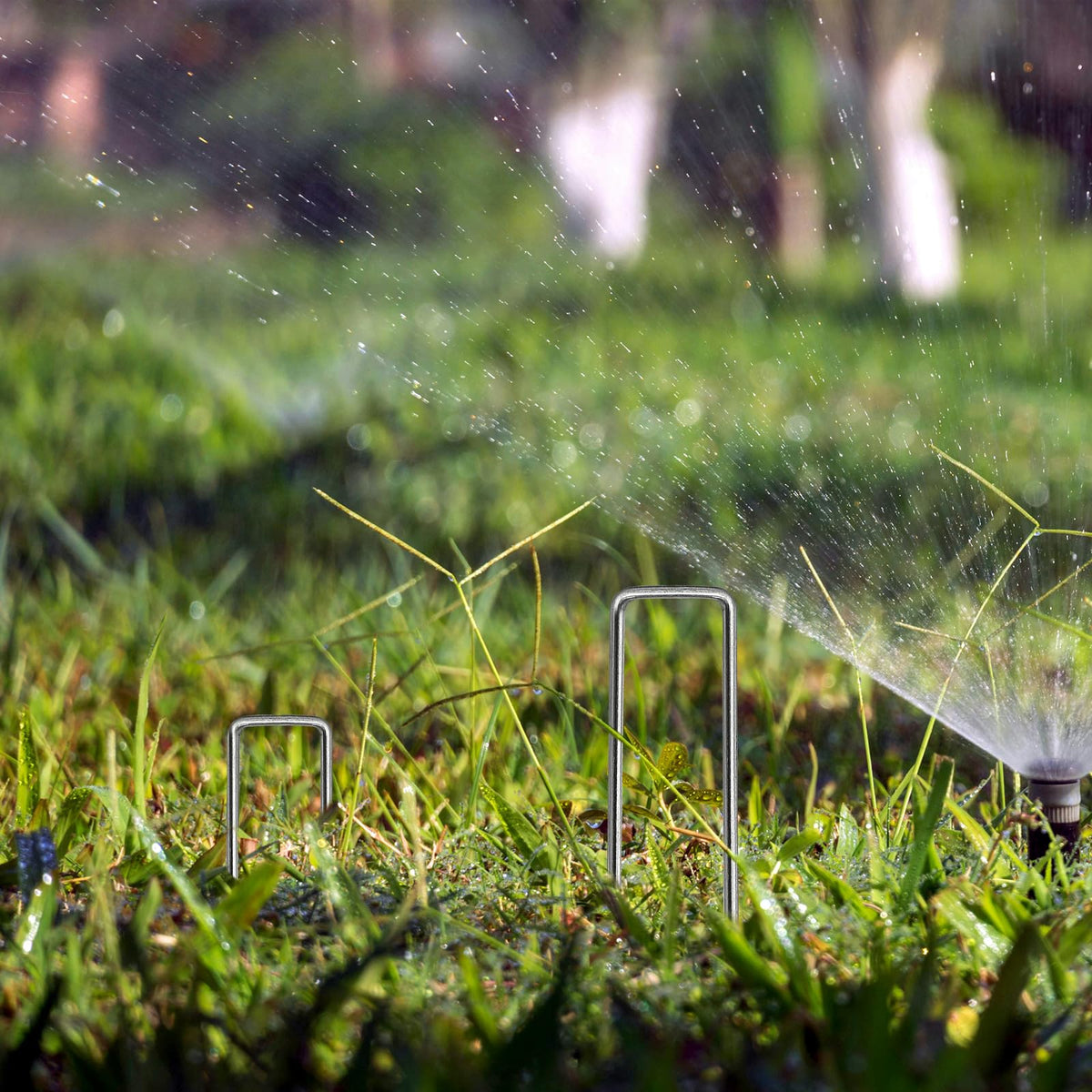 BLOSMIY anti-rust reusable stakes withstand weather for repeat yard projects.
